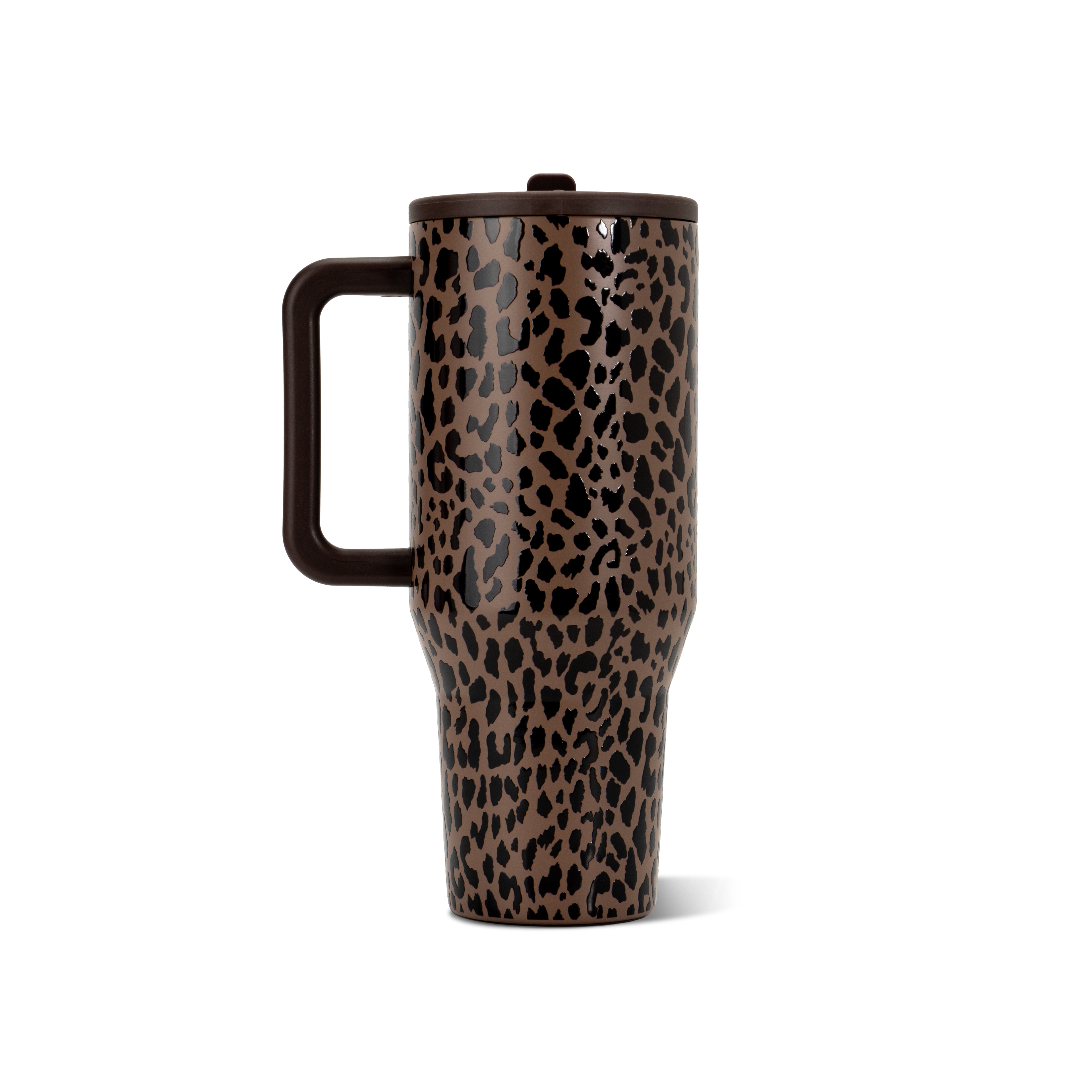 Brown Leopard - Water for Routines